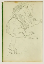 Zittende leeuw