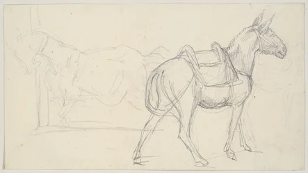 Schets van een paard
