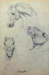Drie paardenhoofden