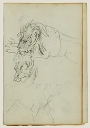 Drie leeuwenstudies