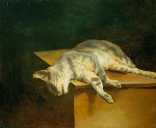 Dode kat
