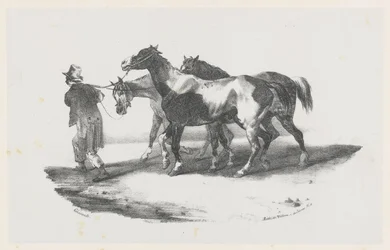 Drie paarden die naar het slachthuis worden geleid (Three Horses Being Led to the Slaughterhouse)