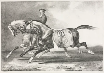 Twee gevlekte paarden aan het oefenen