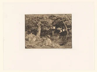 Eikenbomen op rotsen