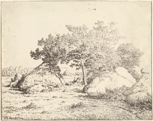 De Kersenboom van La Plante à Biau