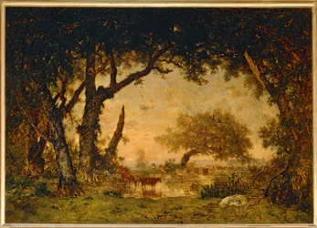 Uitgang van het bos bij Fontainebleau, zonsondergang...