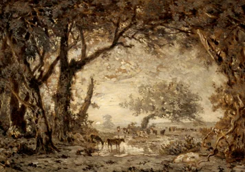 Zonsondergang vanuit het bos van Fontainebleau