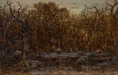 Bos bij zonsondergang in de winter
