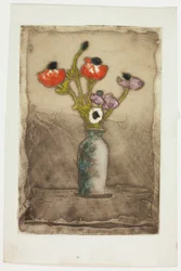 Anemonen