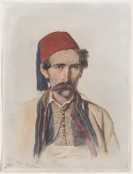 Snorachtige Slaviër in Belgrado