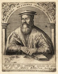 Conrad Gessner, Zwitserse arts