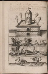 Illustratie voor Tripvs avrevs, hoc est, Tres tractatvs chymici selectissimi.., 1618