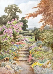 Ik zal lila verzamelen