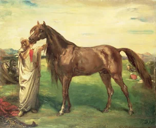 Hadji, een Arabische hengst, 1853