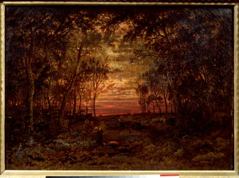 Zonsondergang in het bos