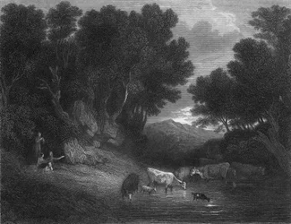 De drinkplaats (gravure)