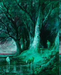 De Rand van het Bos