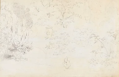 Een studie in grafiet van de brug en bomen vanuit het westen