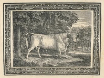 De wilde stier van Chillingham
