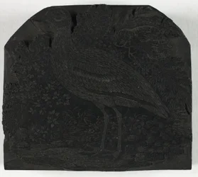 Houtsnede voor De Grote Plevier, uit Een Geschiedenis van Britse Vogels