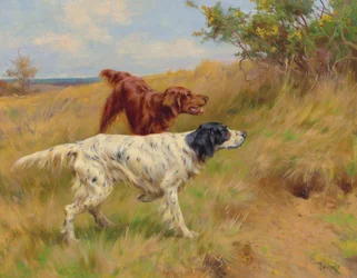 Setters, 2001