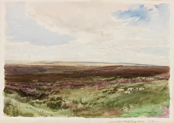 Heide nabij Hart Leap Well, Yorkshire