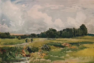 De moerassen, ca. 1879