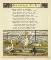 De Dierentuin