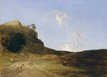 Heidelandschap