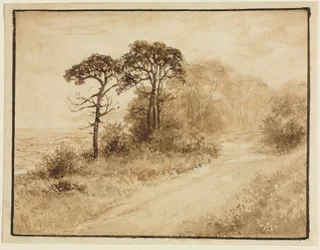 Landschap met Kronkelende Weg