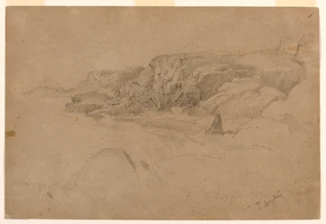 Studie uit de natuur