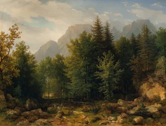 Boslandschap in de hoge bergen