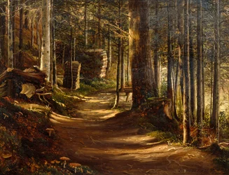Weg in naaldbos