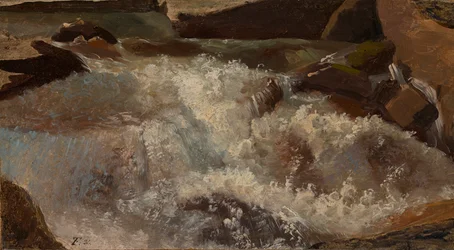 Wildwater. Natuurstudie