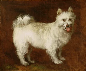 Spitzhond, ca. 1760-70