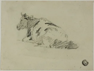 Koe