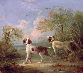 Spaniëls in een landschap