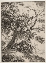 Specimens of Polyautography: Landschap met een eik