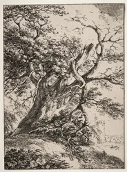 Specimens van Polyautografie: Landschap met een eik, 1803