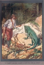 Uiteindelijk was ik dichtbij genoeg om hem te bereiken met mijn schakelaar (kleurenlitho)