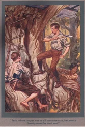 Jack, die altijd opvliegend was, had woest op het bijennest geslagen (kleurenlitho)