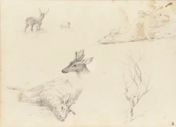 Schetsboek van landschap- en dieronderwerpen, 1860-64