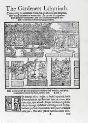 Prieel gebouwd als schaduw tegen de zon en planten in verhoogde bedden, uit The Gardeners Labyrinth, 1577