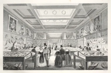 British Museum, Zoologische Galerij, uit 