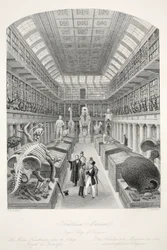 Hunterian Museum, Royal College of Surgeons, uit 