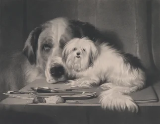 De Leeuw-Hond van Malta--De Laatste van Zijn Stam, 1844