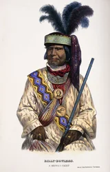 Billy-Bowlegs, Een Seminole Hoofdman, 1899