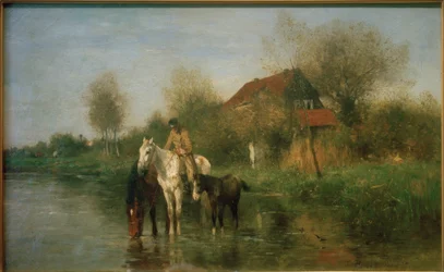 Paarden bij het water