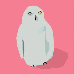 Uil