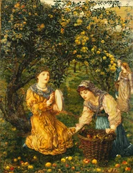Appels Plukken